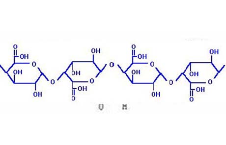 Pectin-Polygalacturonic-Acid