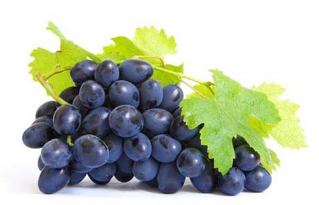 Grape-Skin-Extract