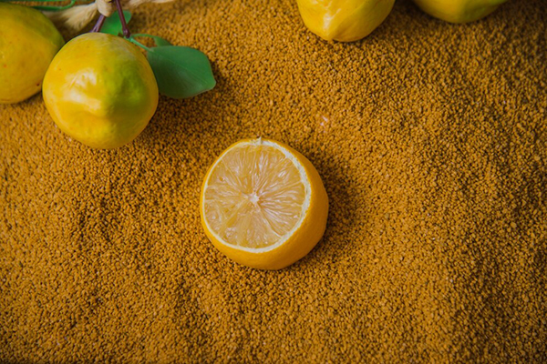 Lemon Peel Powder