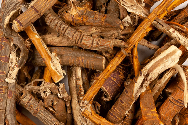 Mulberry Root Extract